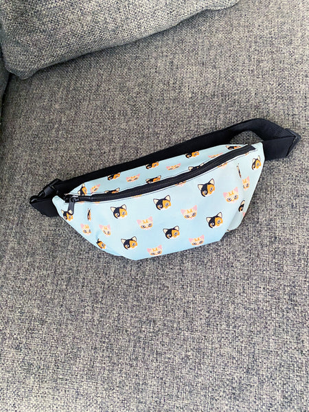 Flapjack Fanny Pack