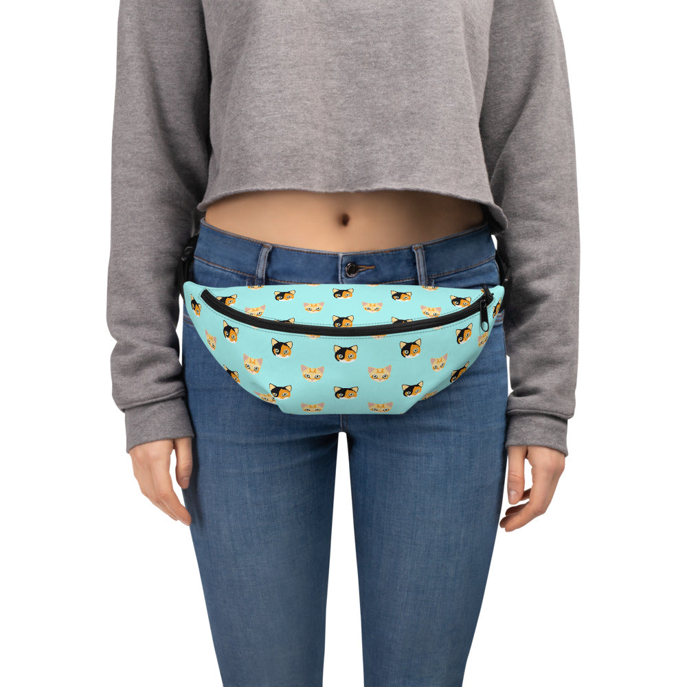 Flapjack Fanny Pack